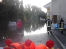 Hochwasser Windorf_8