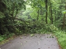 02.06.2016 Baum über Fahrbahn Doblmühle