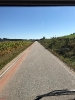 09.09.2020 Ölspur