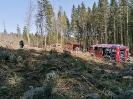 Waldbrand Neuhofen_9