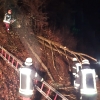 17.02.2022 Baum auf Fahrbahn Deichselberg