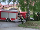 Brandübung Vordergalgenberg_18