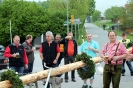 Maibaumstehlen_Stachus