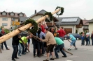 Maibaumstehlen_Stachus