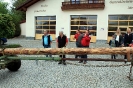 Maibaumstehlen Stachus_3